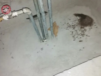 华阴卫生间测漏水价格明细